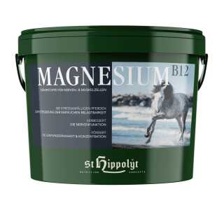 St. Hippolyt - Magnesium B12 - Zur Minderung von Stressreaktionen 1 Kg Dose