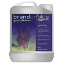 St. Hippolyt - Brandon plus GastroBalsam - Schützt...