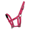 Mini-Shetty Halfter