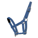 Mini-Shetty Halfter