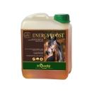 WES Energy Boost - Hochleistungsöl -  5 Liter Kanister