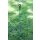 AKO Oval-Fiberglaspfahl Premium BLUE 110cm - 10er Bund