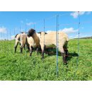 AKO TitanNet Premium - Schafnetz - Schafzaun