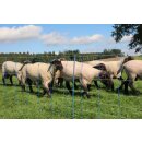AKO TitanNet Premium Plus - Schafnetz - Schafzaun