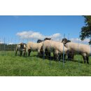AKO TitanNet Premium Plus - Schafnetz - Schafzaun