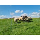 AKO TitanNet Premium Vario - Schafnetz - Schafzaun - Wolfabwehr - Wolfzaun - Wolfnetz - Wolfsnetz - Wolfszaun - Wolfsabwehr