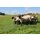 AKO TitanNet Premium Vario - Schafnetz 50m, 108cm hoch, mit Doppelspitze