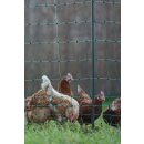 AKO PoultryNet Premium - Hühnernetz -...