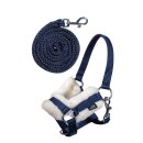 Halfter und Strick - Hobby Horsing - für Hobby Horse...