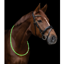 LED Halsring - Leuchthalsring für Pferde -...