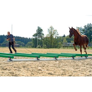 WingX-System - Cavaletti-Stangenaufsätze - 12 Stangenaufsätze