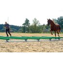 WingX-System - Cavaletti-Stangenaufsätze - 12...