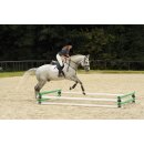 WingX-System - Cavaletti-Stangenaufsätze - 12...