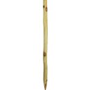 Patura Robinienpfahl, rund, Ø 6-8cm