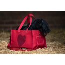 NEU Transporttasche für Cuddle Pony  rot