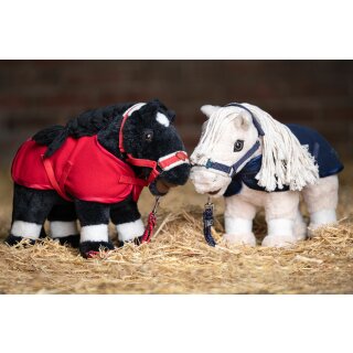 NEU Starterset für Cuddle Pony