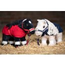 NEU Starterset für Cuddle Pony