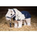 NEU Starterset für Cuddle Pony