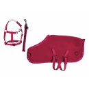 NEU Starterset für Cuddle Pony  rot