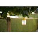 CIT Fliegenfalle FlyCage 3 inkl. Lockstoff