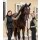 E.L.T Heizweste Comfort Heat - beheizbare Steppweste - schwarz M