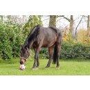 Pferdespielball FUN - Spielball - Fußball - Ø 18cm