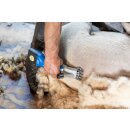 Aesculap Akkuschermaschine für Schafe Econom NOVA CL - inkl. Akku - blau