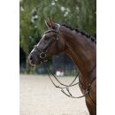 Trensenzaum Clincher - echtes Leder