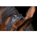 Trensenzaum Anatomic - echtes Leder - schwarz