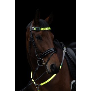 Stirnriemen LED