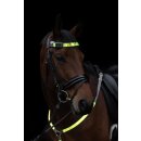 Stirnriemen LED