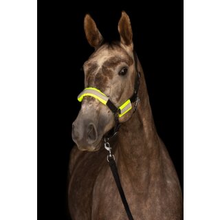 Reflex Trensenset - Halfterset