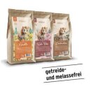 Gurbe Urpferdchens Leckerbissen - ROTE BEETE - Leckerli -...