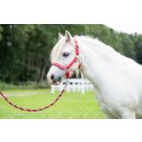 Pferdehalfter - Halfter - AYMEE - rot - Gr. Pony