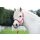 Pferdehalfter - Halfter - AYMEE - rot - Gr. Pony