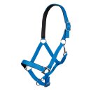 Pferdehalfter - Halfter - STARS SOFTICE - weich unterlegt - Farbe kornblau Warmblut