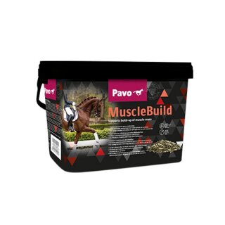 Pavo MuscleBuild - Muscle Build - Ergänzungsfutter für Pferde zum Muskelaufbau - 3 Kg