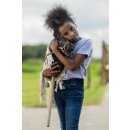 Hobby Horse - Mini - Steckenpferd - inkl. Trense