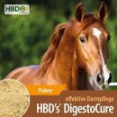 HBD´s DigestoCure - Darmkur für den Aufbau der...
