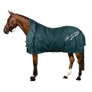 Outdoor Blanket IRHSuper-dry Summer - Outdoordecke - forest green
